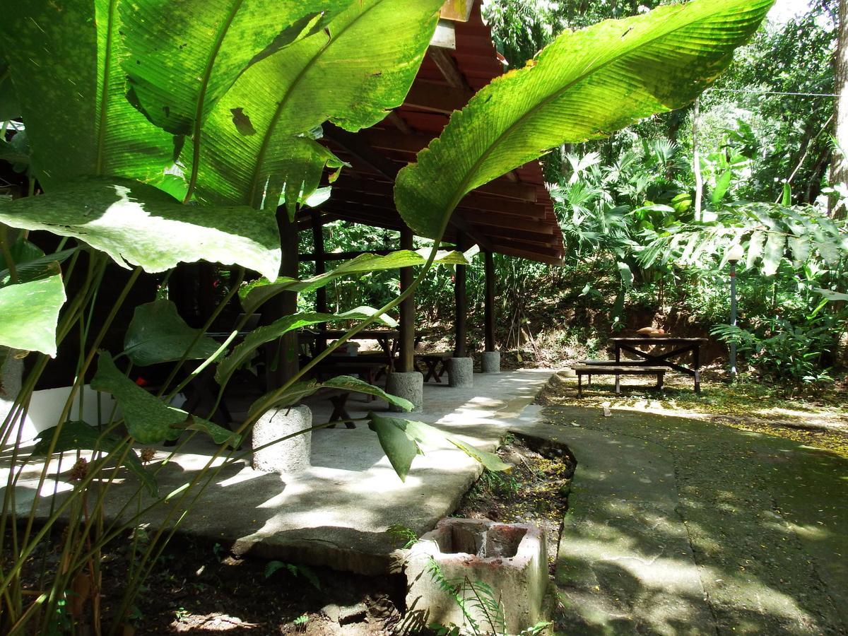 Selva Color - Forest & Beach Ecolodge Quebrada Ganado Exterior foto
