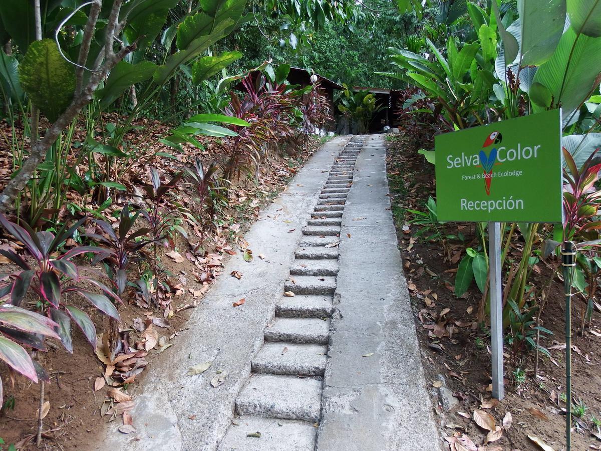 Selva Color - Forest & Beach Ecolodge Quebrada Ganado Exterior foto