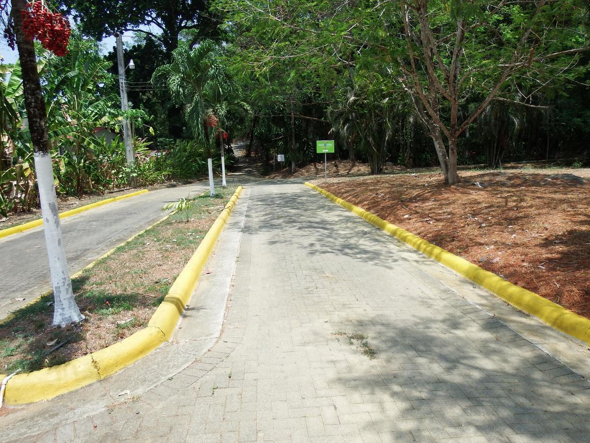 Selva Color - Forest & Beach Ecolodge Quebrada Ganado Exterior foto