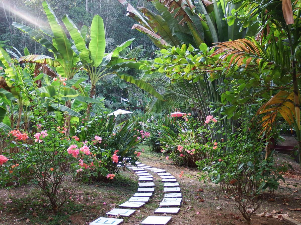 Selva Color - Forest & Beach Ecolodge Quebrada Ganado Exterior foto