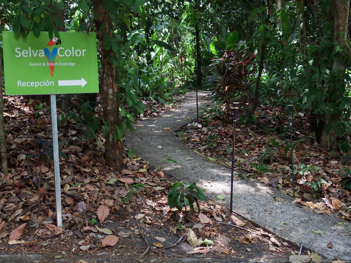 Selva Color - Forest & Beach Ecolodge Quebrada Ganado Exterior foto