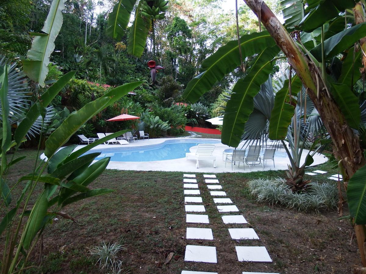 Selva Color - Forest & Beach Ecolodge Quebrada Ganado Exterior foto